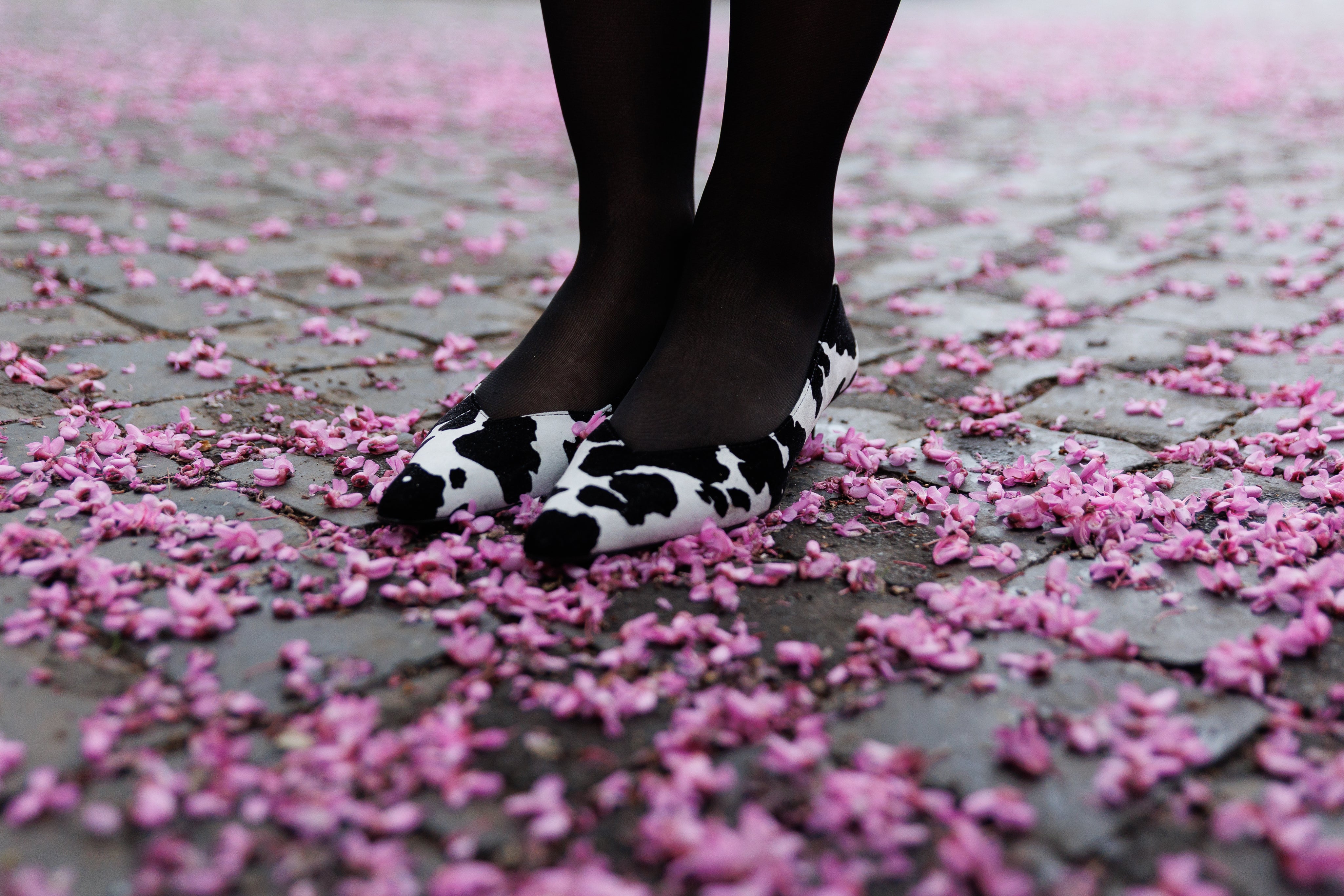 Décolleté en cuir animalier